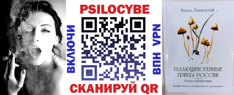где найти наркотики даркнет официальный сайт Псилоцибиновые грибы прущие грибы Петушки